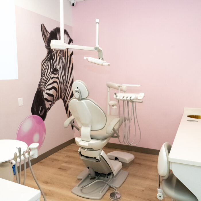 Petite Smiles Boutique Pediatric Dentistry exam area with animal picture on wall